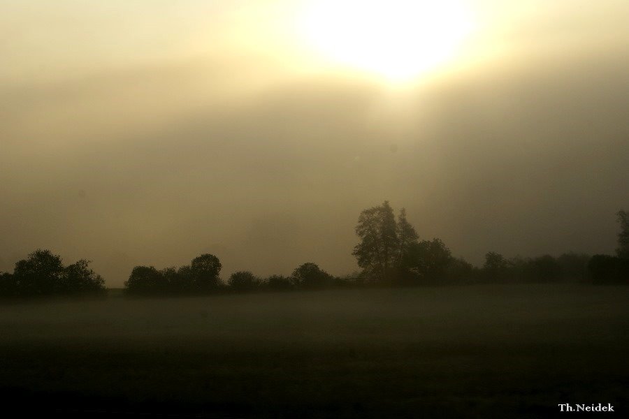 Die Sonne dringt kaum durch