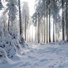 Die Sonne dringt langsam durch den Nebel