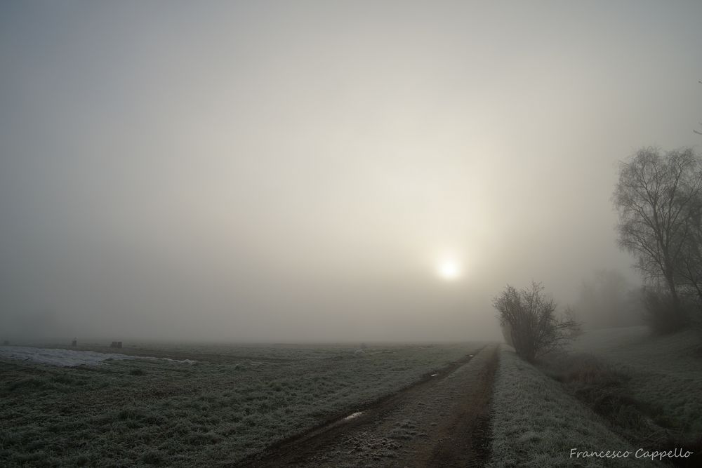 die Sonne drückt langsam durch (2)