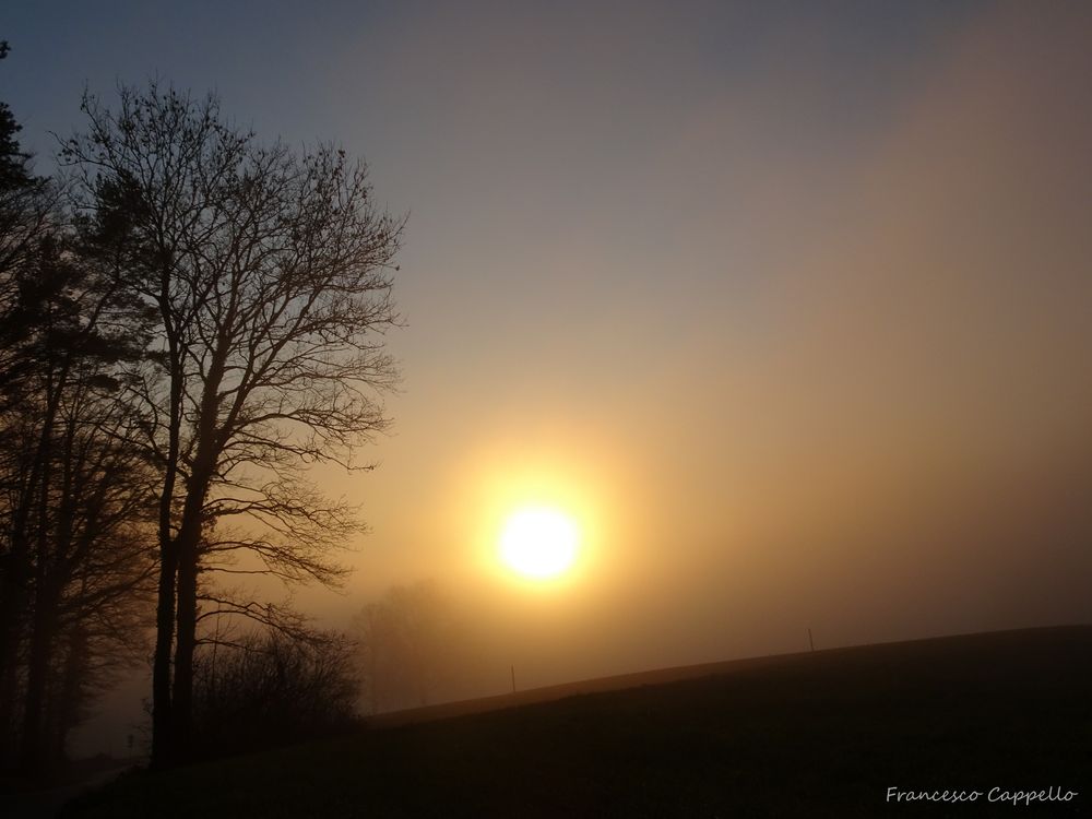 die Sonne drückt langsam durch (3)