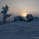 die Sonne drückt langsam durch den Nebel