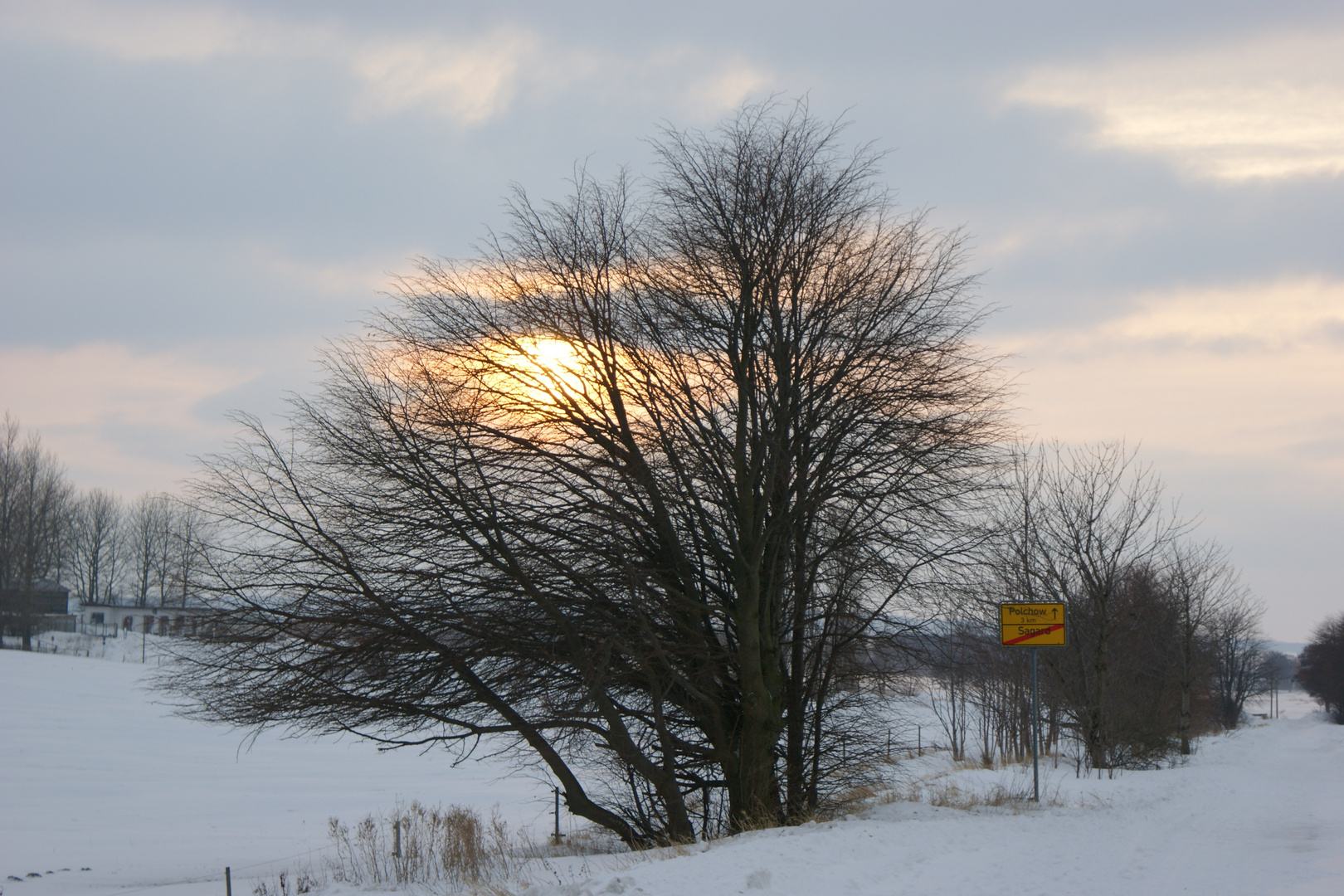 Die Sonne drückt sich durch