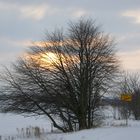 Die Sonne drückt sich durch