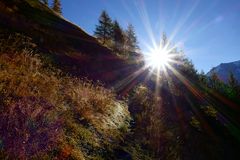 die Sonne durchbricht dem herbstlichen Schatten