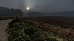 Die Sonne durchbricht den Nebel - 1