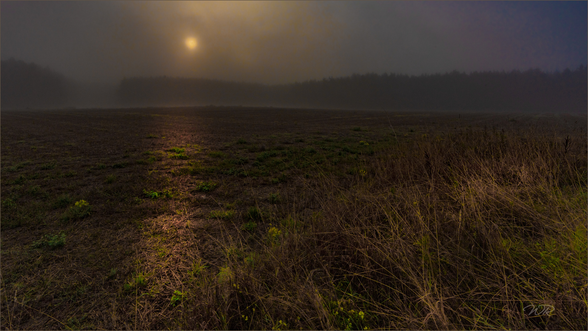 Die Sonne durchbricht den Nebel - 2