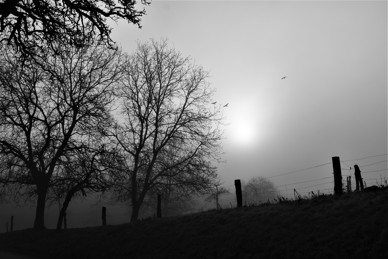 Die Sonne durchbricht den Nebel