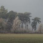 Die Sonne durchbricht den Nebel.