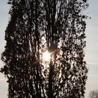 Die Sonne...