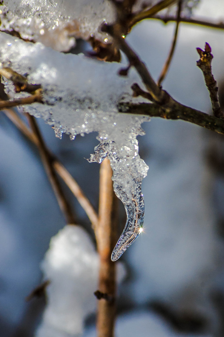 die Sonne eingefangen