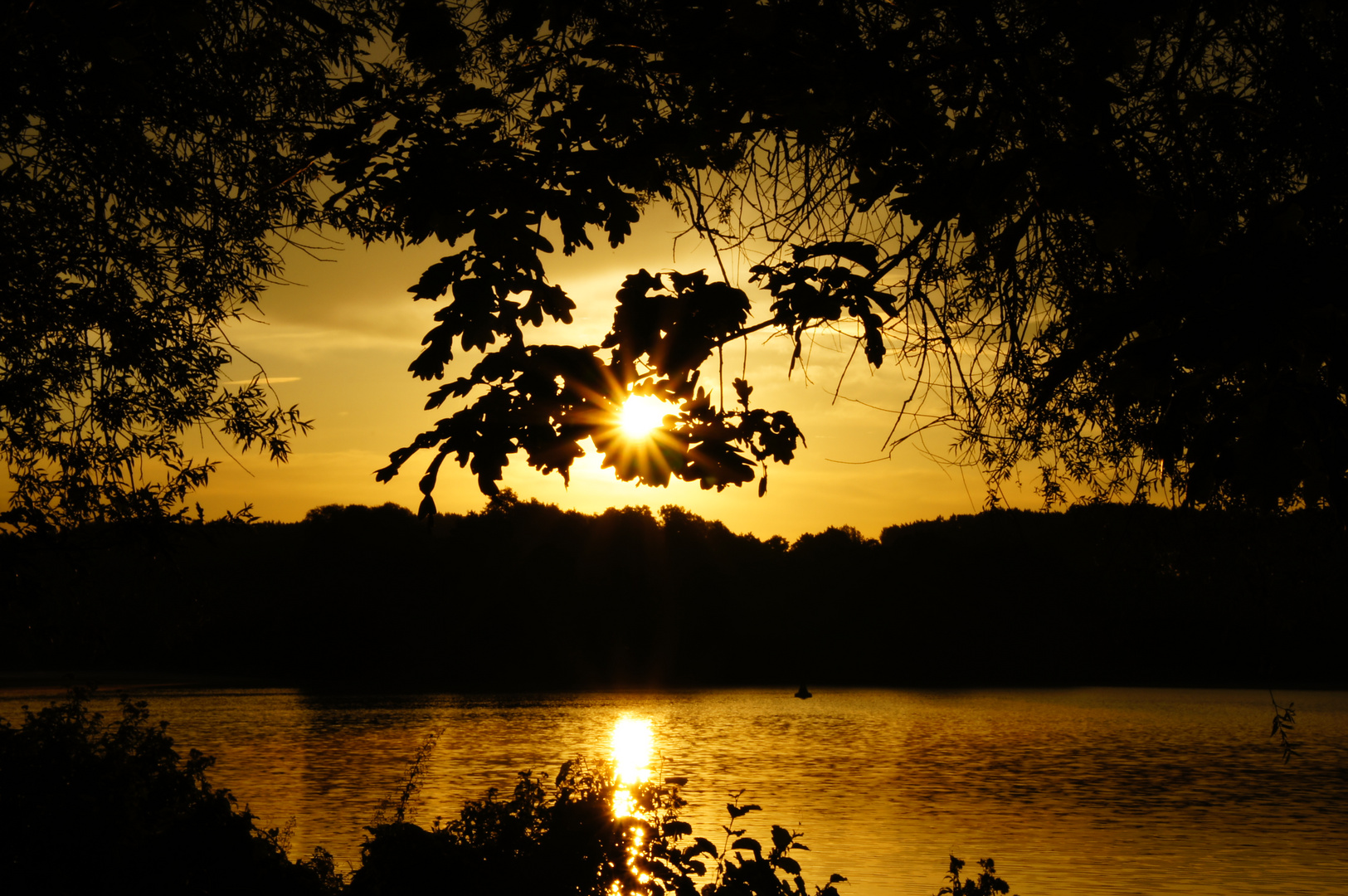 die sonne eingefangen