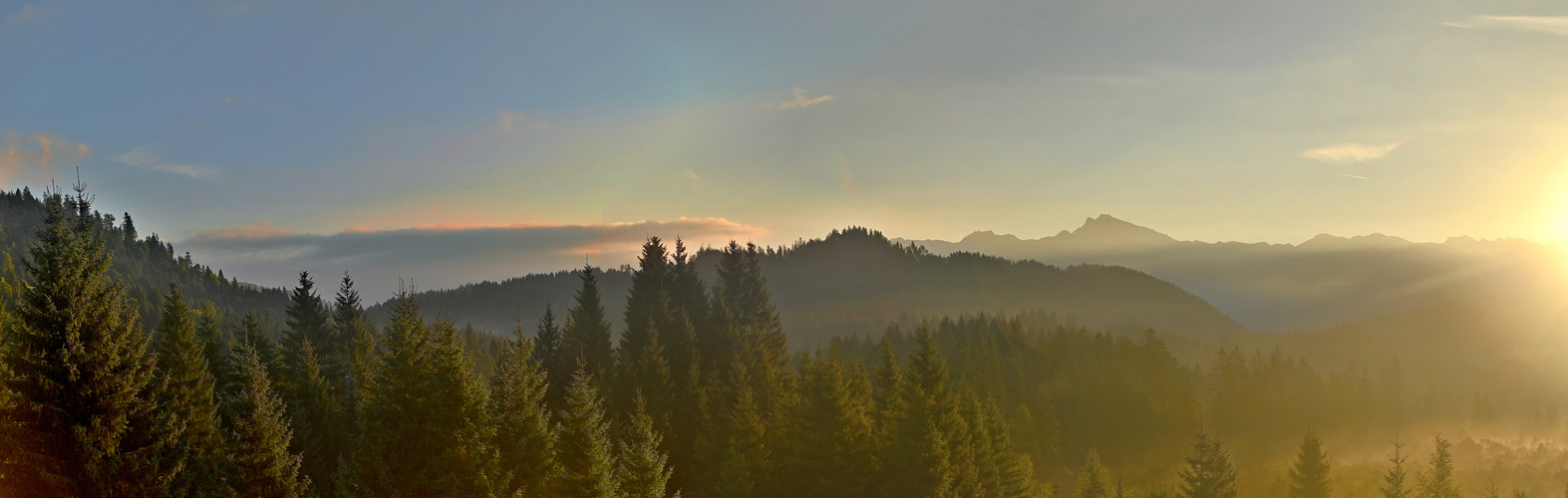 Die Sonne erobert sich das Hochmoor und den Klausenwald