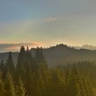 Die Sonne erobert sich das Hochmoor und den Klausenwald