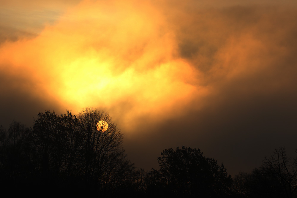 die Sonne erobert sich die Nebelwelt