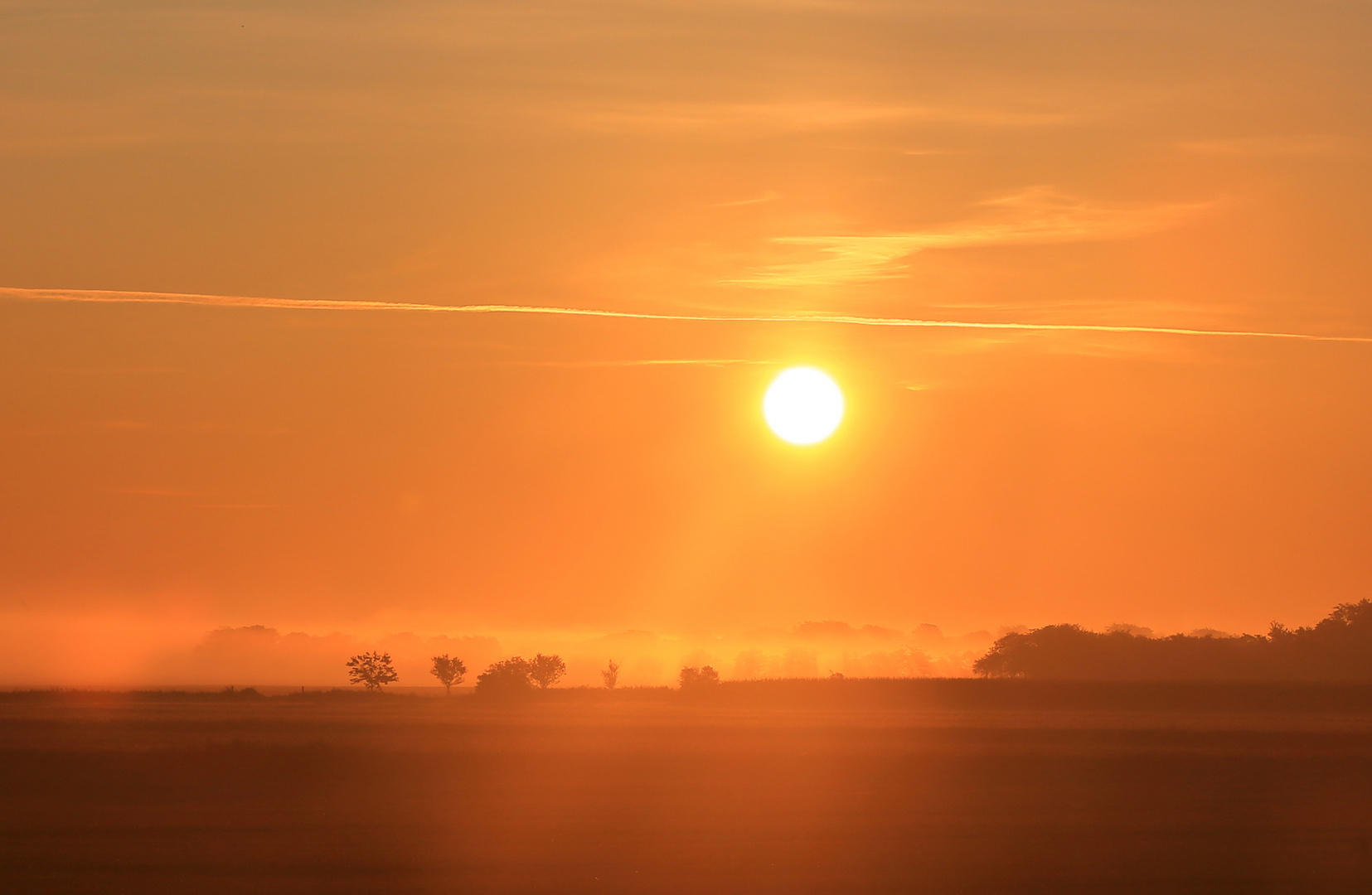 Die Sonne erscheint