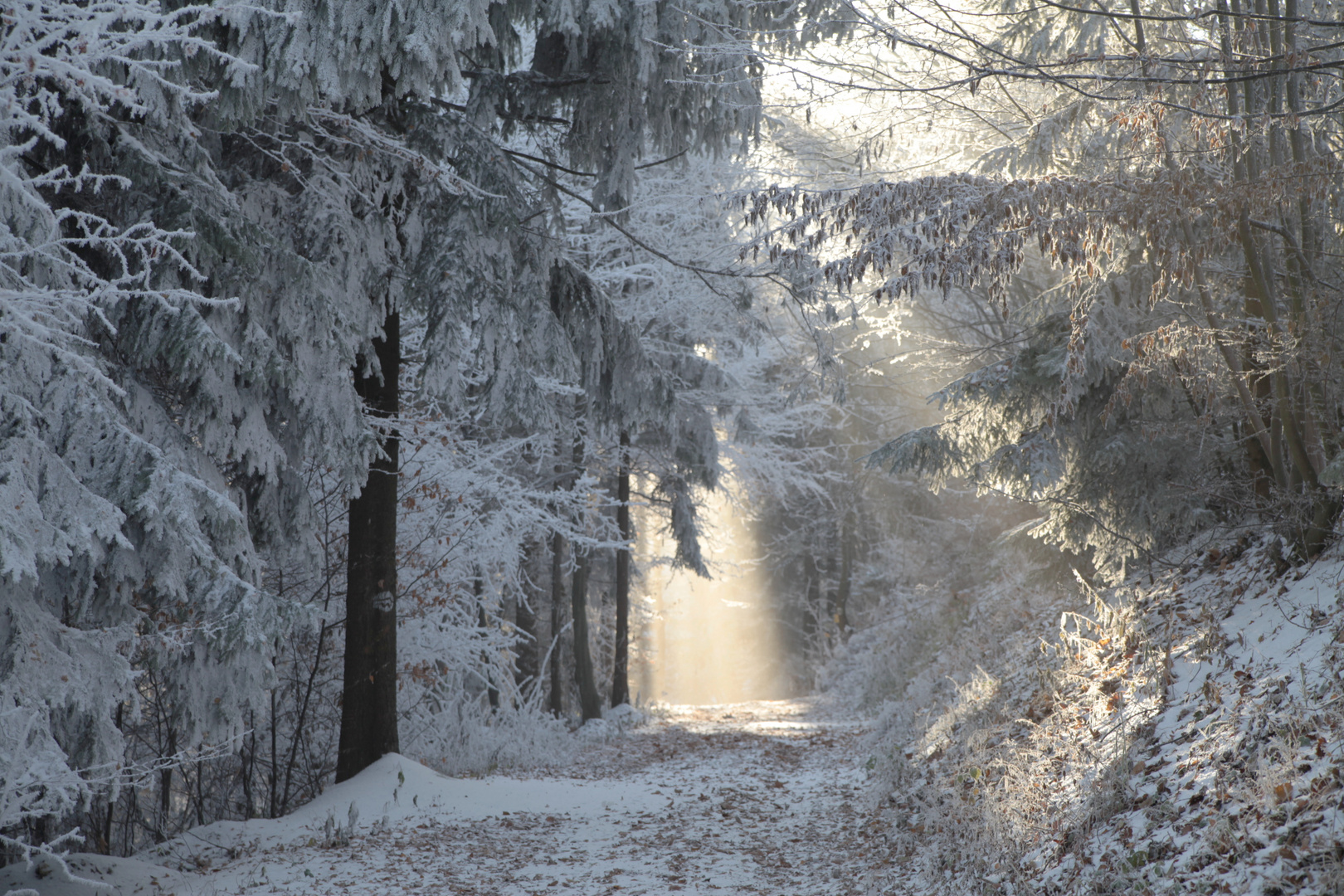 Die Sonne fand einen Weg