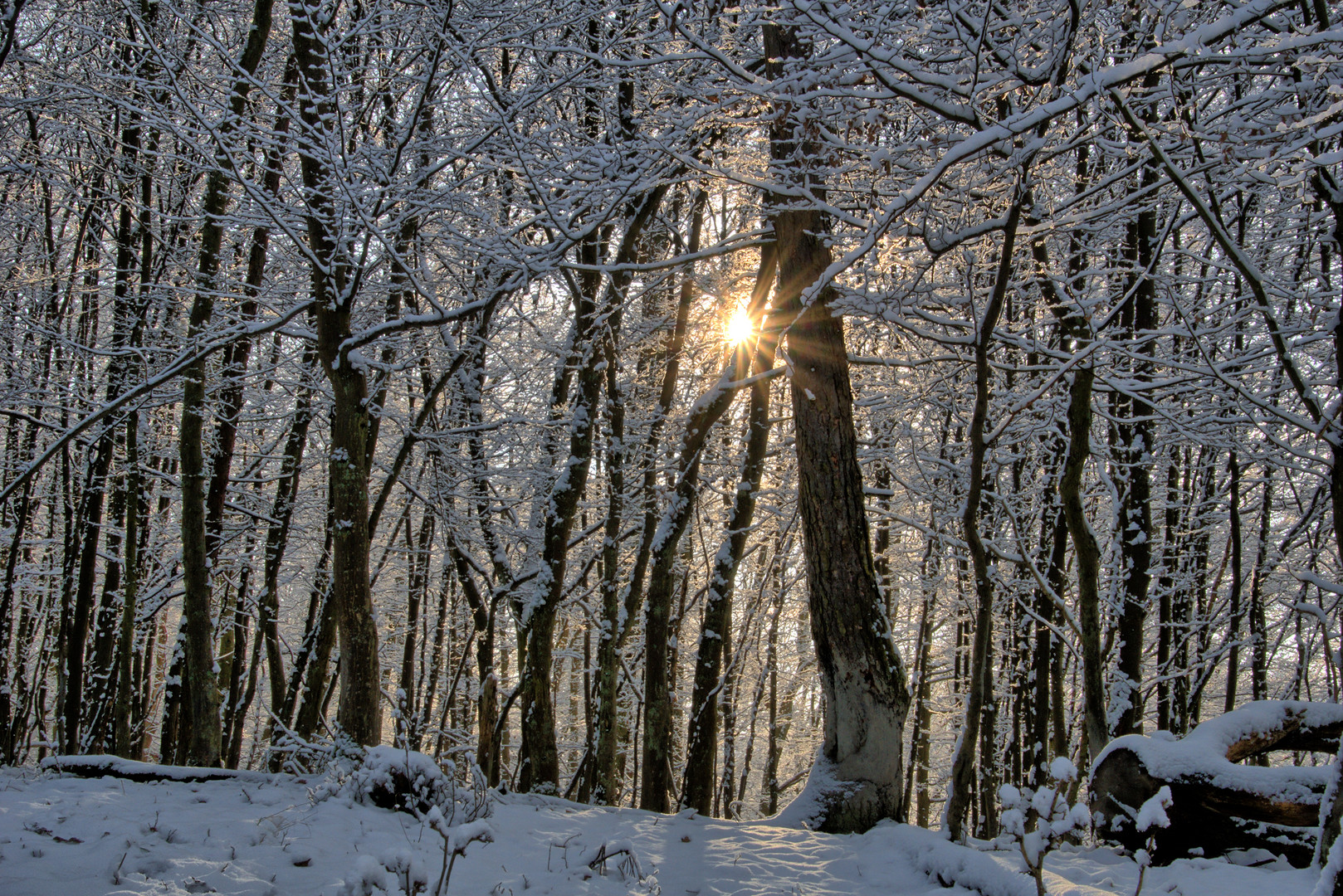 Die Sonne findet ihren Weg