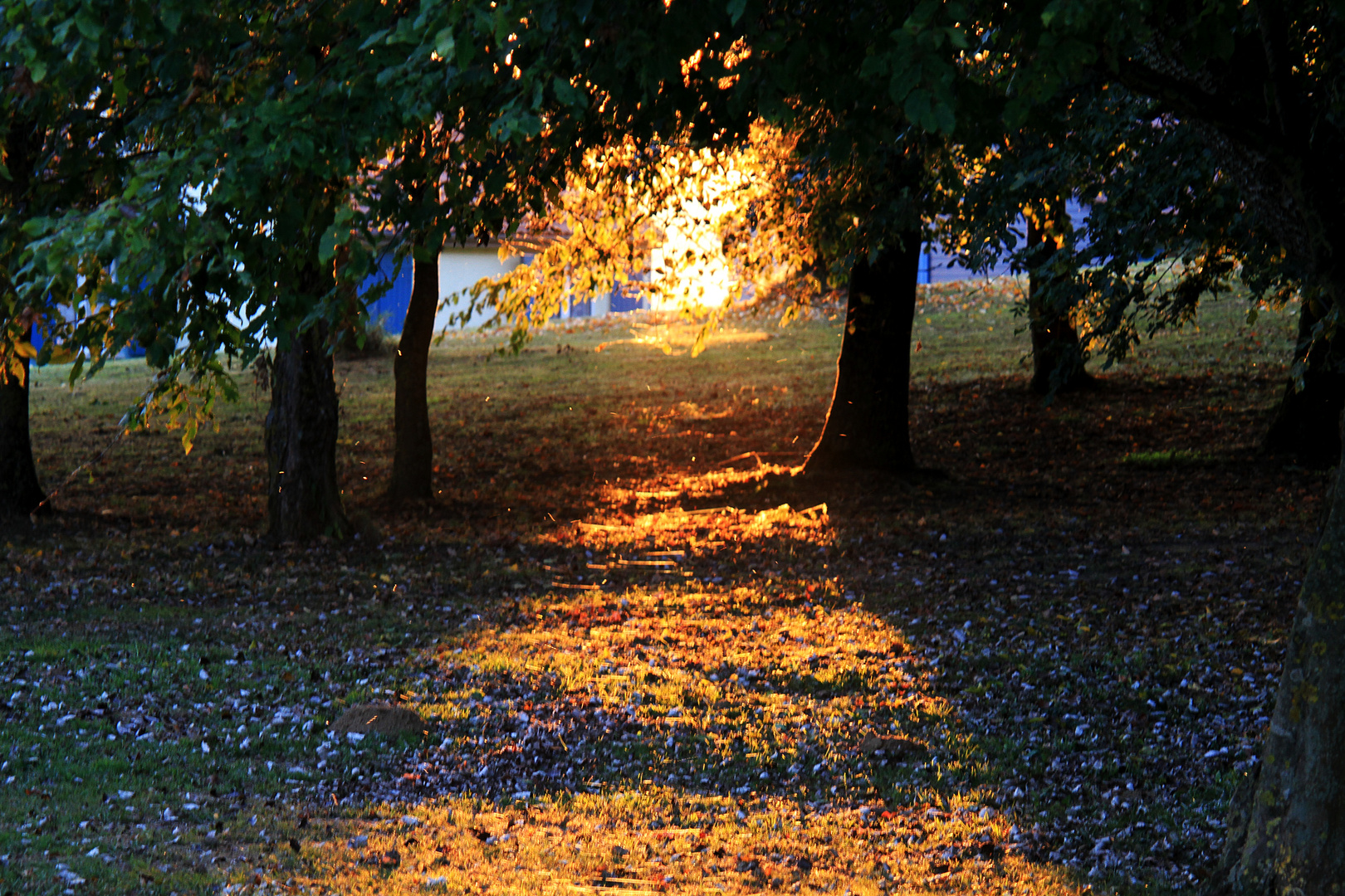 Die Sonne findet ihren Weg ...