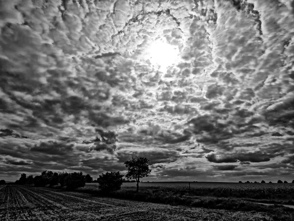 die sonne findet ihren weg - auch heute ...