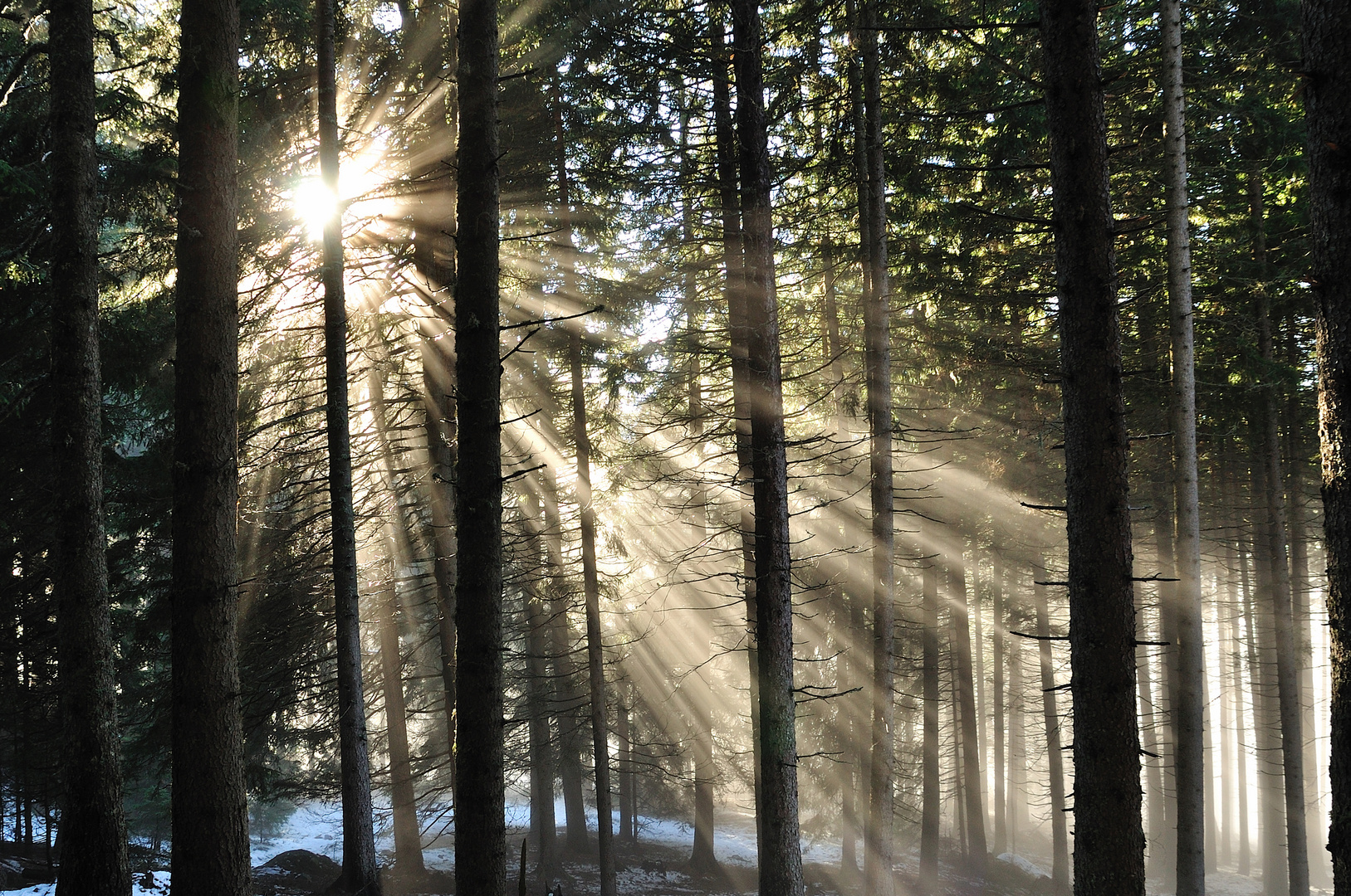 Die Sonne geht auf....