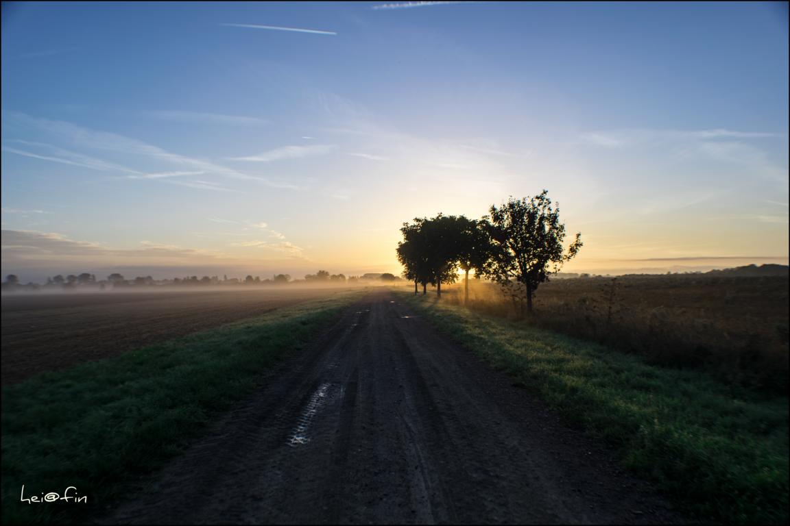 die Sonne geht auf