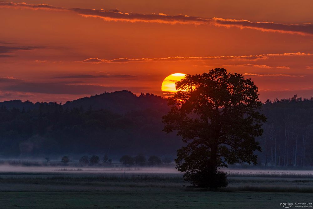 Die Sonne geht auf Foto & Bild | deutschland, europe ...