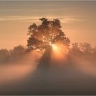 Die Sonne geht auf