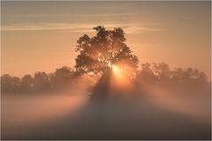 Die Sonne geht auf