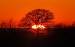 Die Sonne geht auf