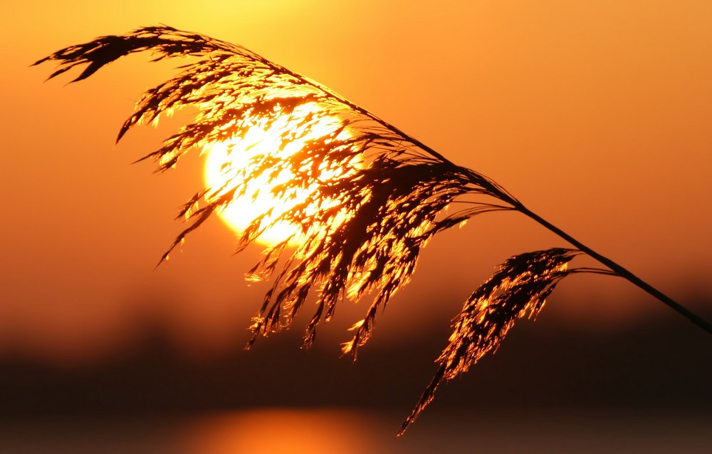 ...die Sonne geht auf