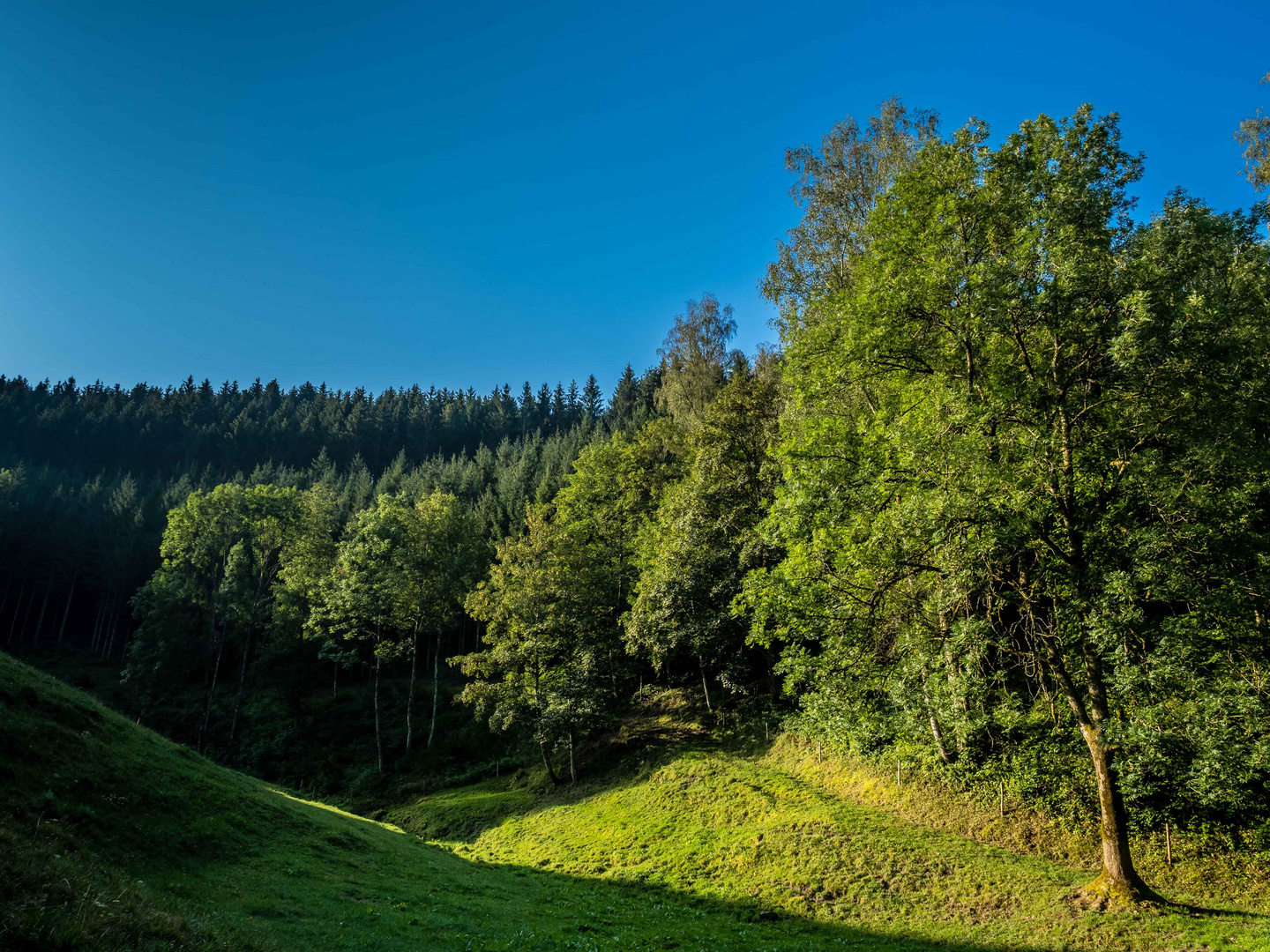 Die Sonne geht auf im Schwarzwaldtal