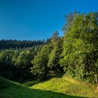 Die Sonne geht auf im Schwarzwaldtal