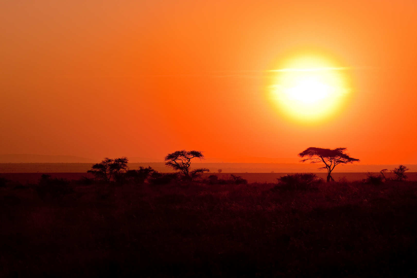 Die Sonne geht auf in der Serengeti