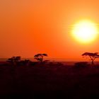 Die Sonne geht auf in der Serengeti