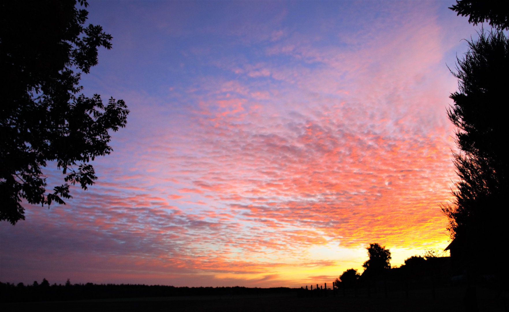 die Sonne geht auf in Meck- Pomm Foto & Bild | landschaft ...