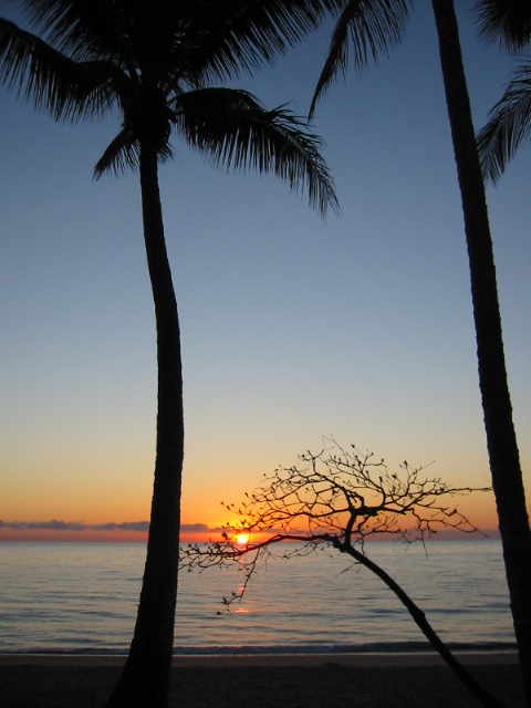 Die Sonne geht auf in Palm Cove