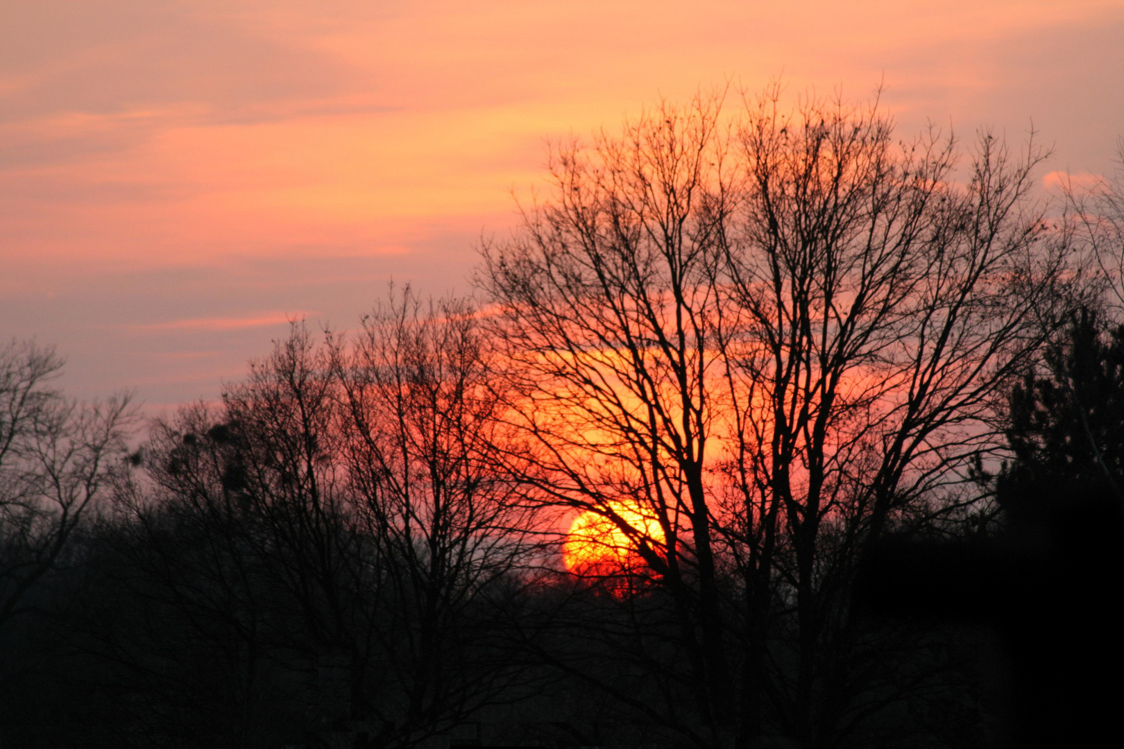 Die Sonne geht....