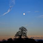 Die Sonne geht - der Mond kommt.