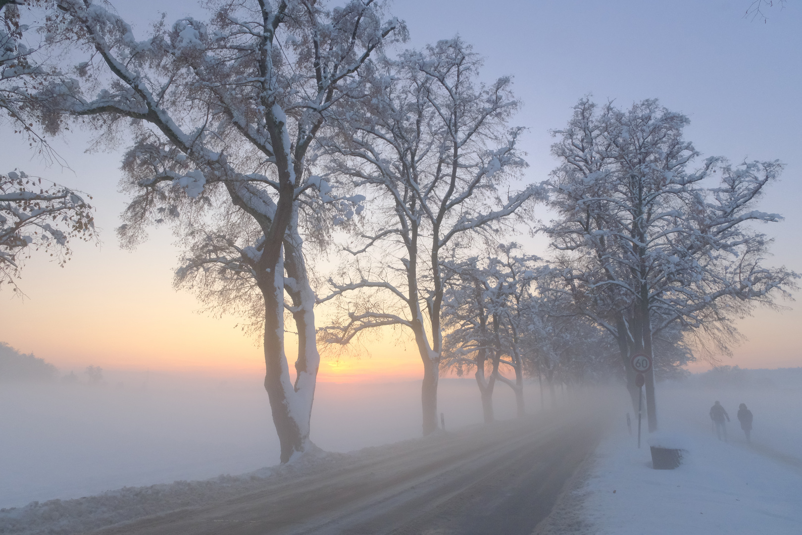 Die Sonne geht, der Nebel kommt... 