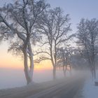 Die Sonne geht, der Nebel kommt... 