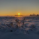 die Sonne geht, der Nebel kommt, der Schnee bleibt