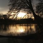 die Sonne geht............. Dutzenteich in Nürnberg