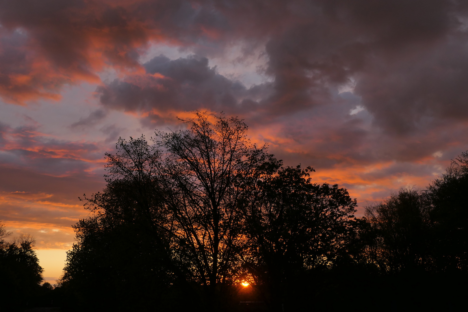 die Sonne geht