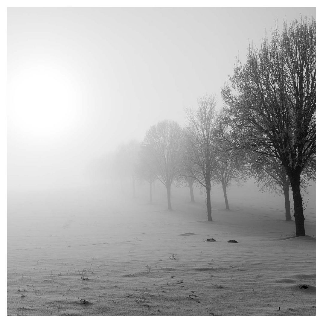 die Sonne geht hinterm Nebel auf