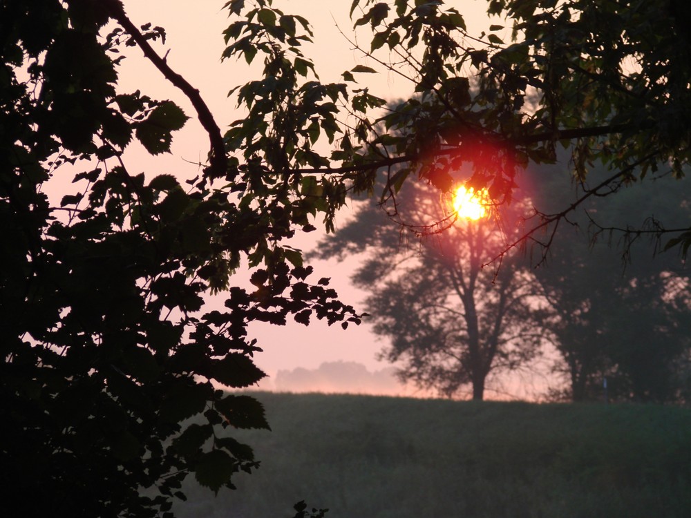 DIE SONNE GEHT IMMER WIEDER AUF :-))))