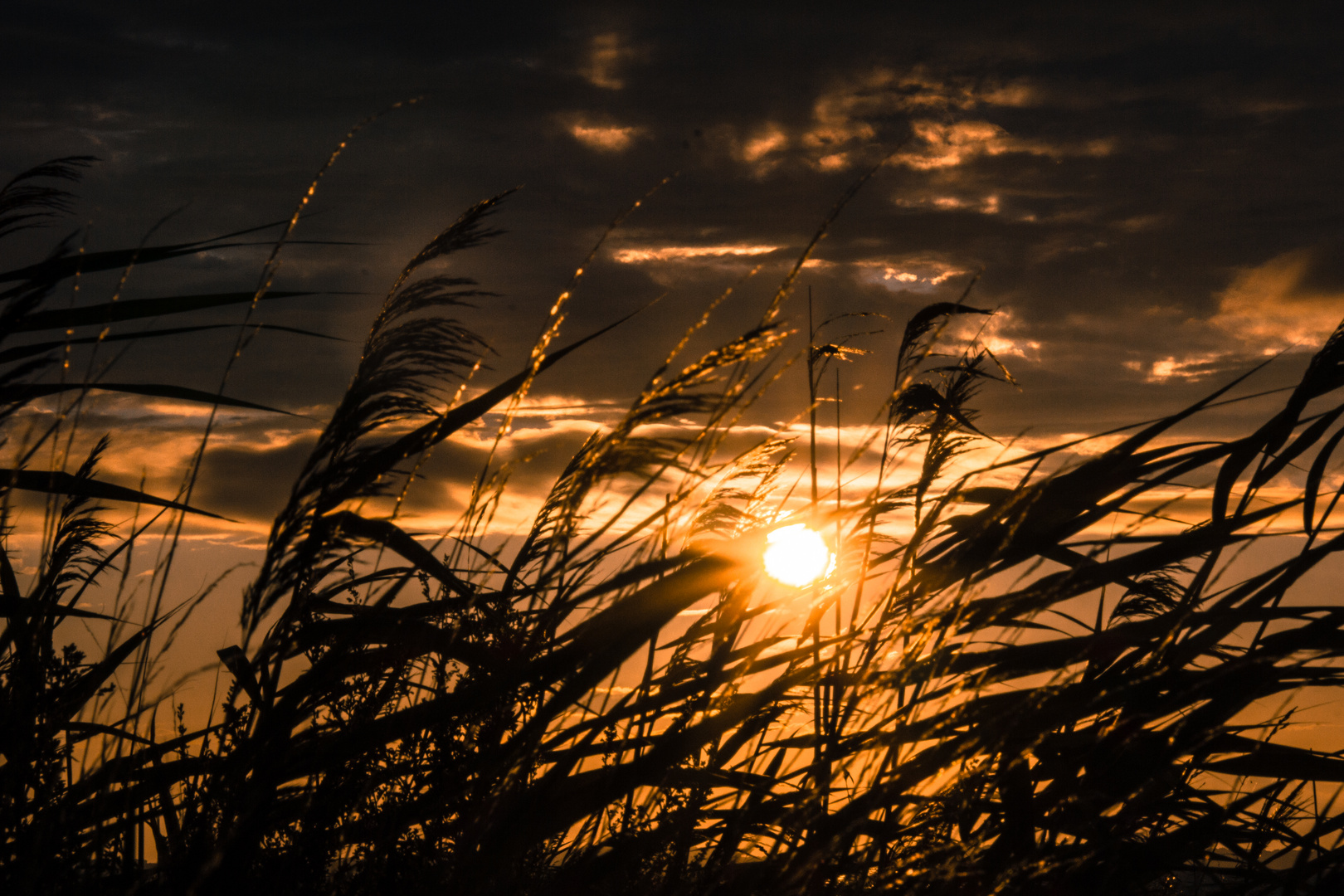 die Sonne geht langsam unter