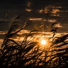 die Sonne geht langsam unter