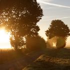 Die Sonne geht steil