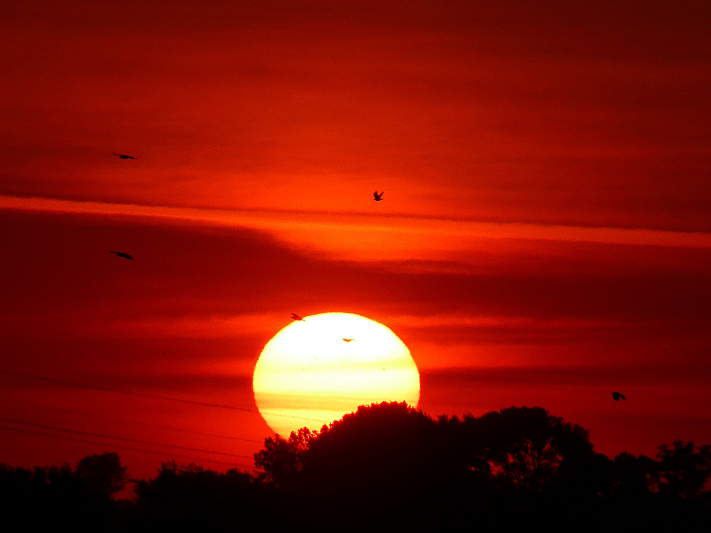 Die Sonne Geht Unter Foto Bild Sonnenuntergang Natur Bilder Auf Fotocommunity