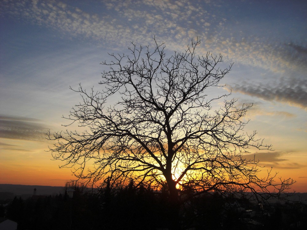 die Sonne geht unter